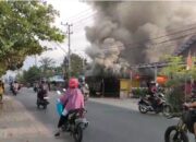 Breaking News!! Jago Merah ‘Mengamuk’ di Jalan Bukit Keminting