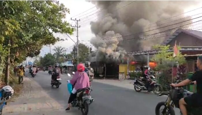 Breaking News!! Jago Merah ‘Mengamuk’ di Jalan Bukit Keminting