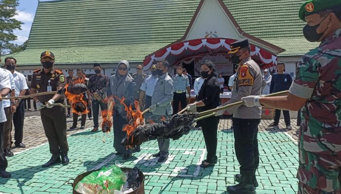 Kejari Pulpis Musnahkan 37 Barbuk Perkara Tindak Pidana Umum