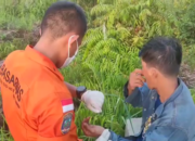 Hilang Arah di Hutan Saat Cek Lahan, Warga Palangka Raya Berhasil Diselamatkan Tim SAR