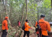 2 Pemuda Hilang Saat Berburu di Hutan Kapuas, Tim SAR Gabungan Lakukan Pencarian
