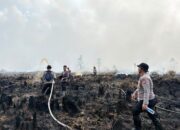 Kapolda Kalteng Komitmen Tindak Tegas Pelaku Karhutla