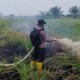 Satgas Aman Nusa II Padamkan Karhutla Seluas 10 Hektare di Kawasan Danau Rangas