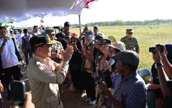 Gubernur Kalteng Sebut Panen Raya di Kotim Perkuat Target Swasembada Pangan