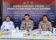 Polisi Ungkap Dua Pelaku Pembakaran Lahan di 12 Lokasi Pulang Pisau