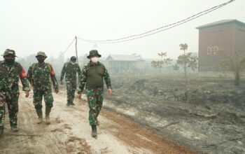 Pangdam XXII/Tambun Bungai Turun ke Lokasi Karhutla, Pastikan Api Tak Meluas